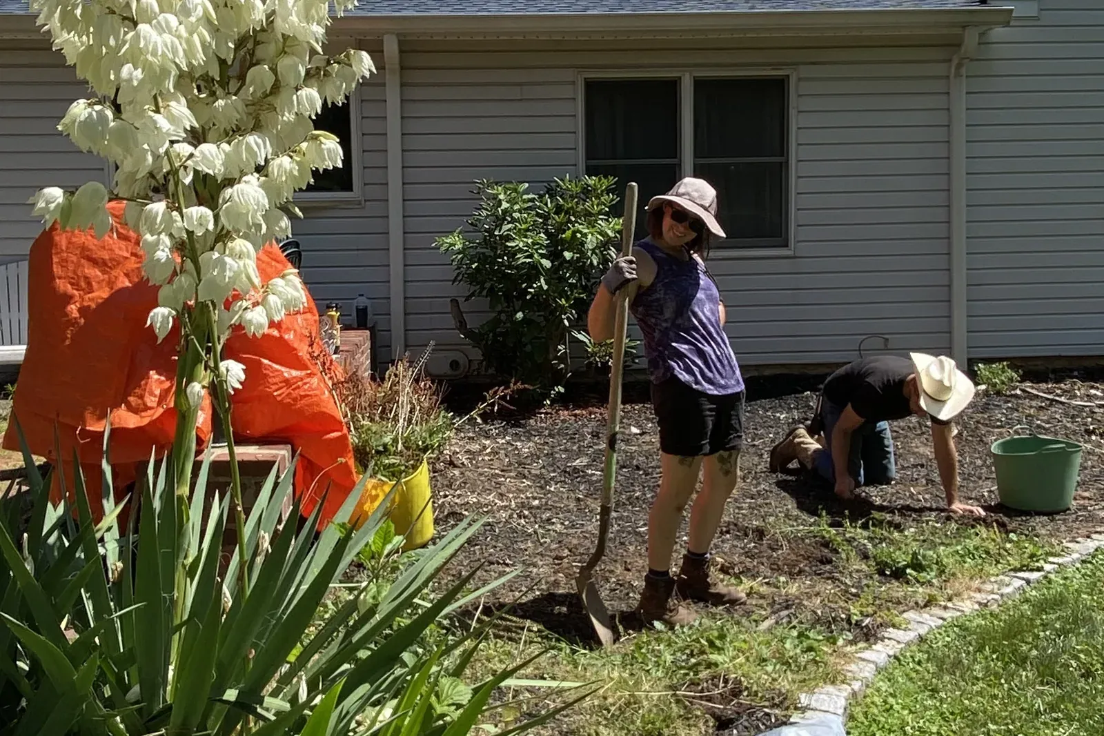 Two gardeners at work in a freshly mulched bed on a bright day — one standing with a spade, the other kneeling to plant — beside a yucca in full cream bloom
