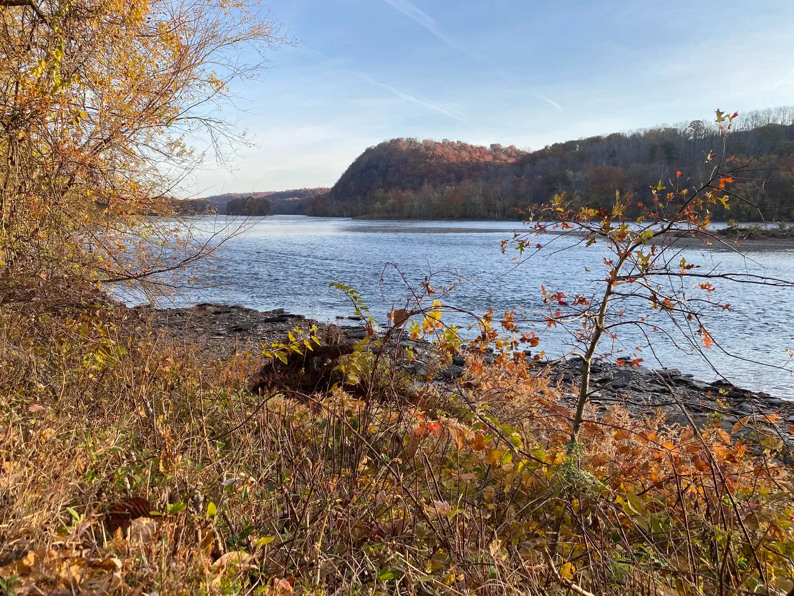 The Delaware River in autumn, seen from a rocky bank lined with oak and sumac