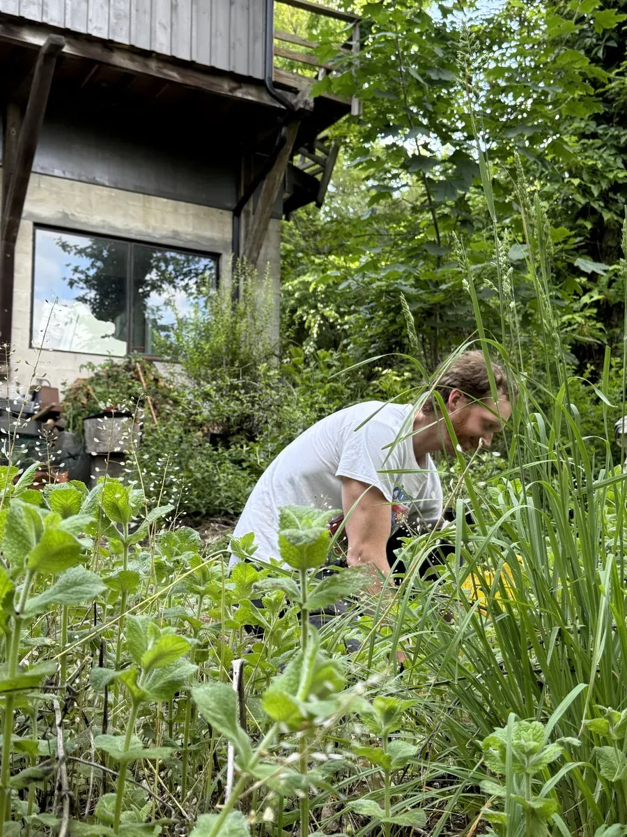 Furie tending a planting beside a barn