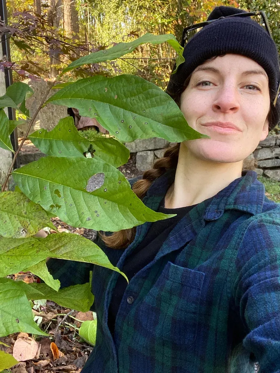 Kate outdoors behind a spray of leaves