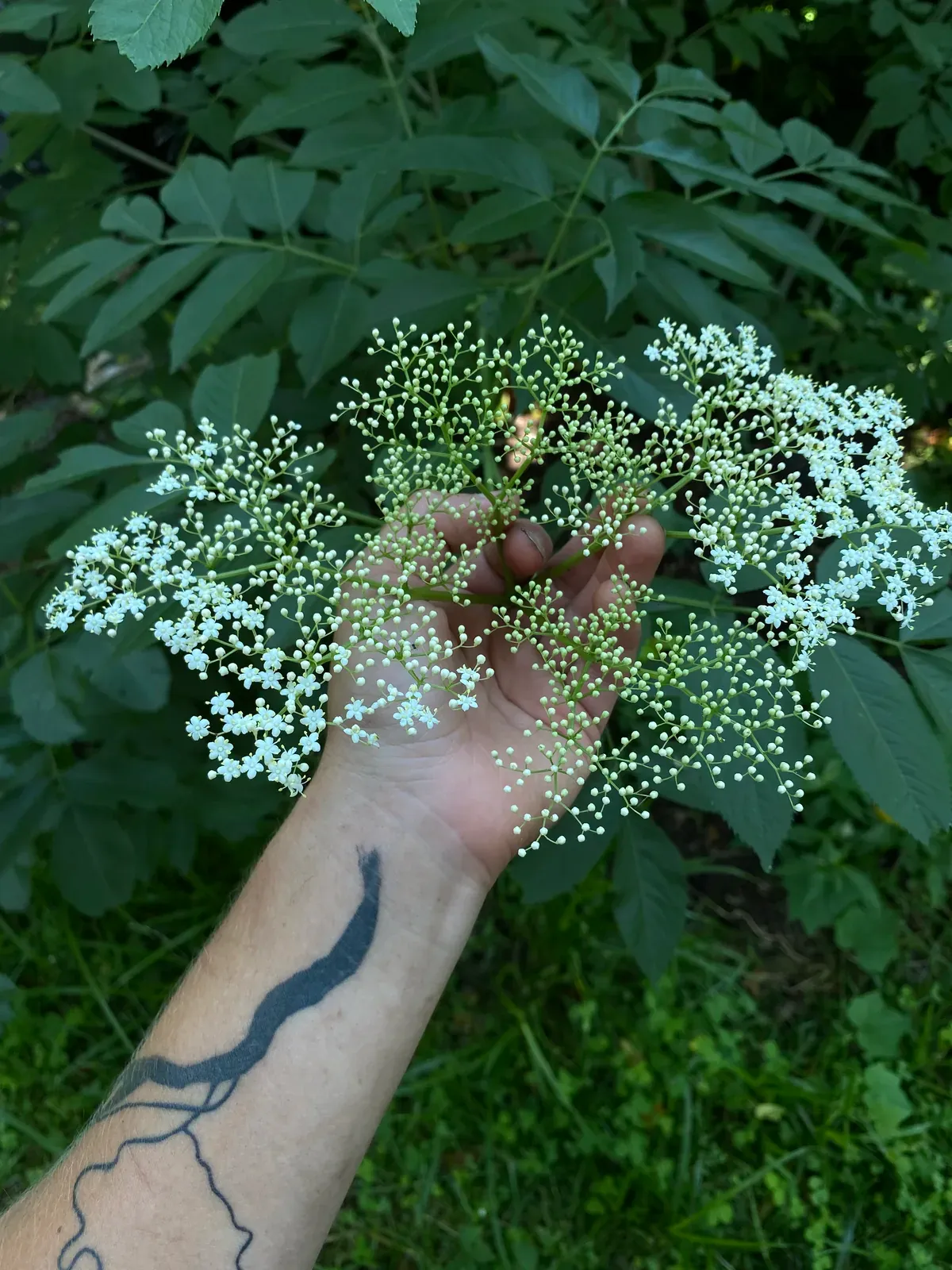 Photograph by RiverGirl Gardens