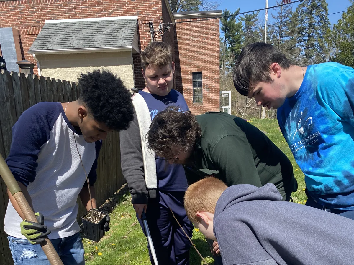 Five teenagers bend over a slender bare-stemmed sapling on a lawn full of dandelions, one of them holding a shovel and a nursery pot.