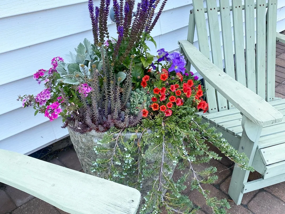 A tall urn of salvia and red geranium beside painted garden chairs