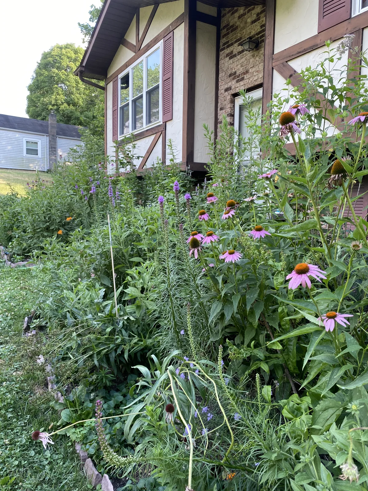 At-Home Meadow — after