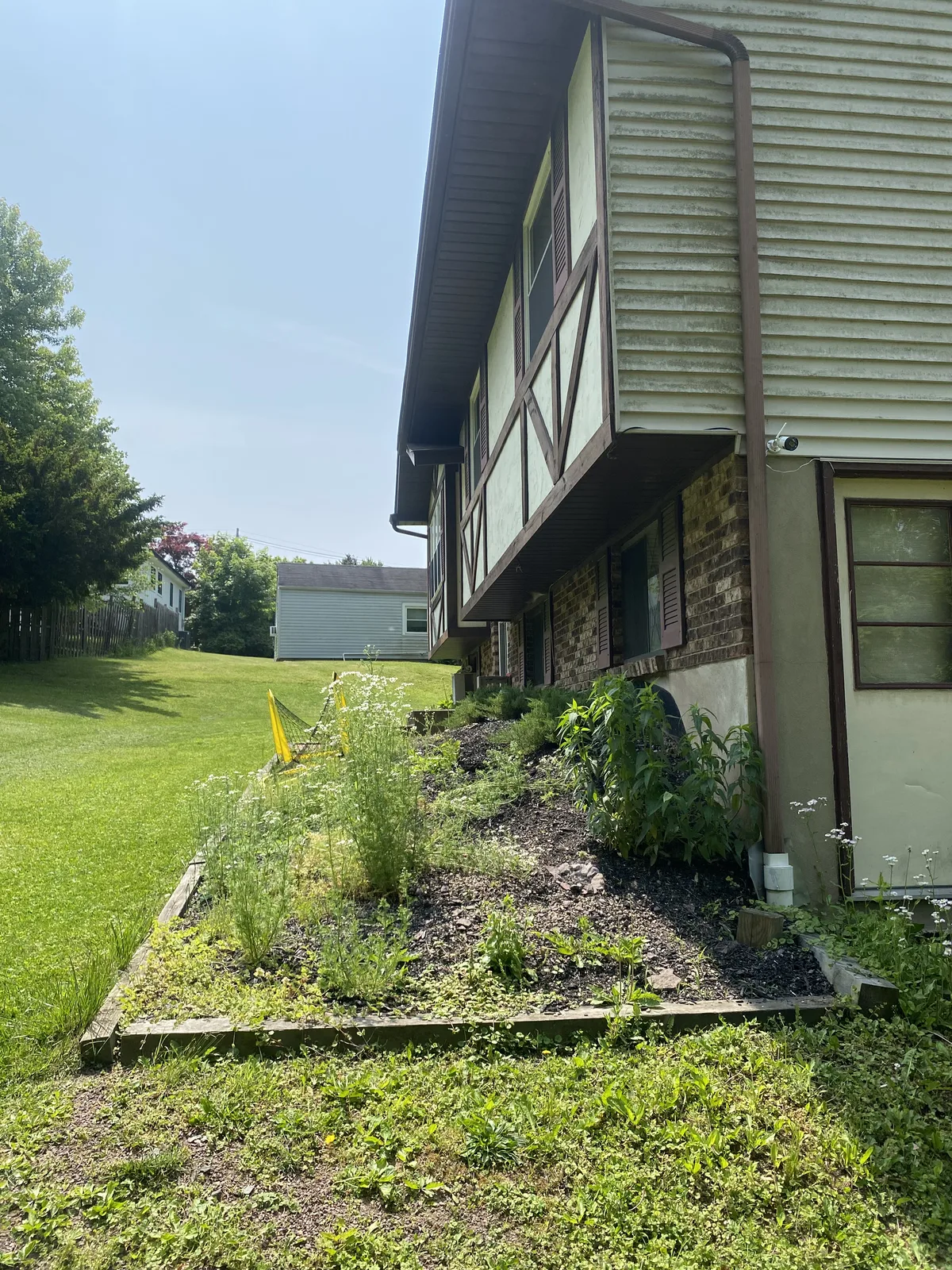 At-Home Meadow — before