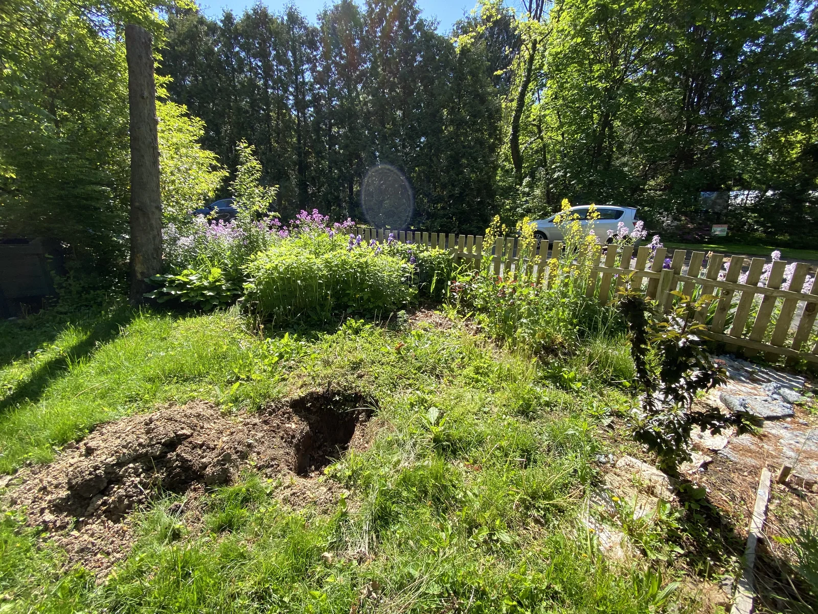 Garden Bed Definition — before