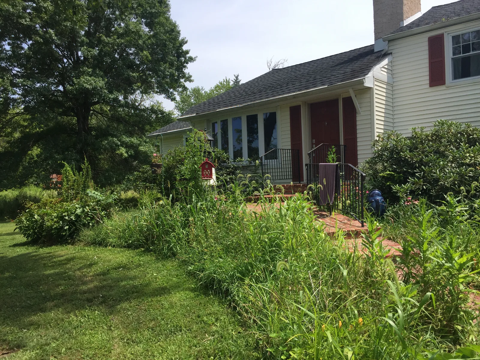 Garden Cleanup — before
