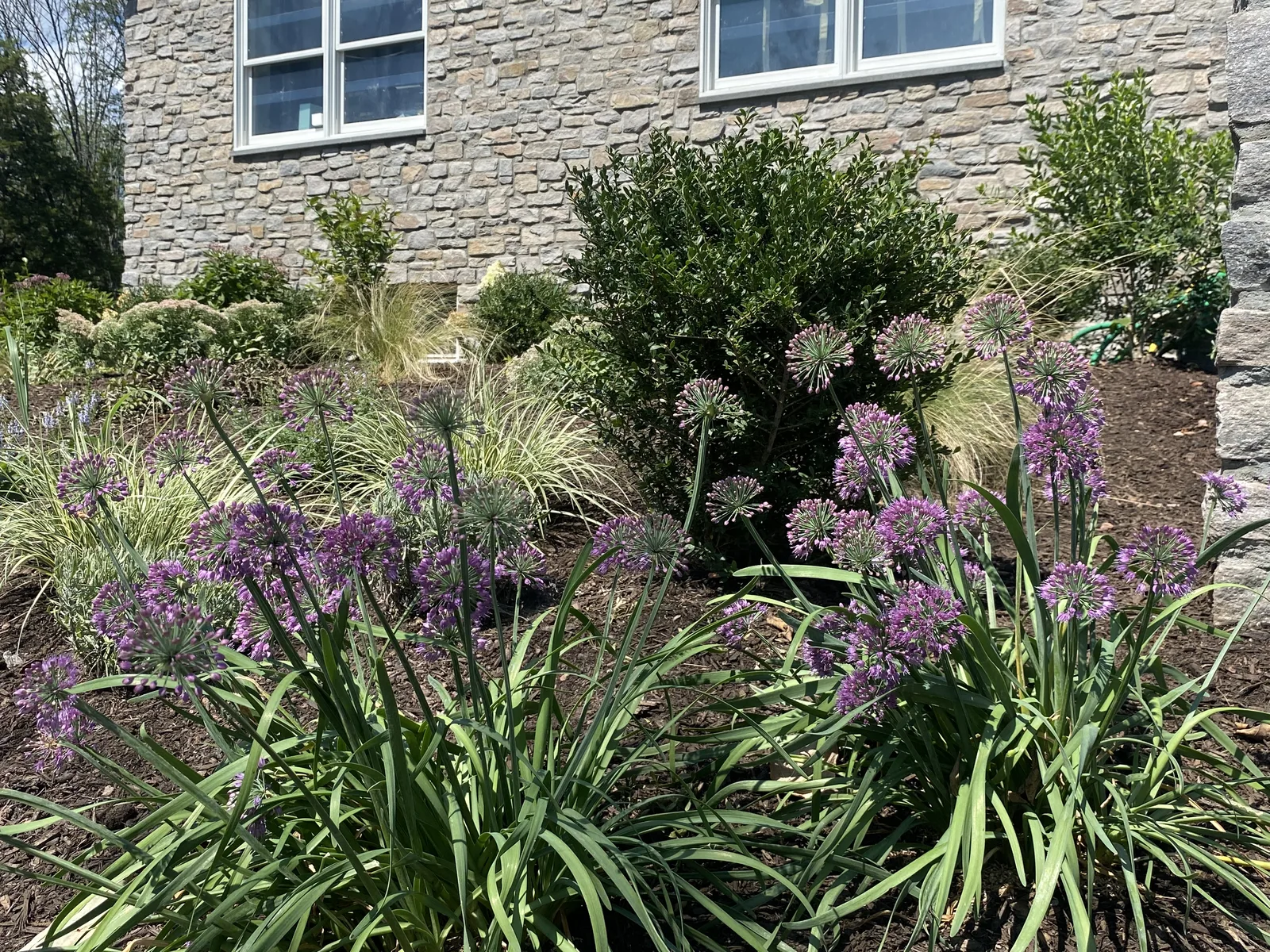 Garden Install — after