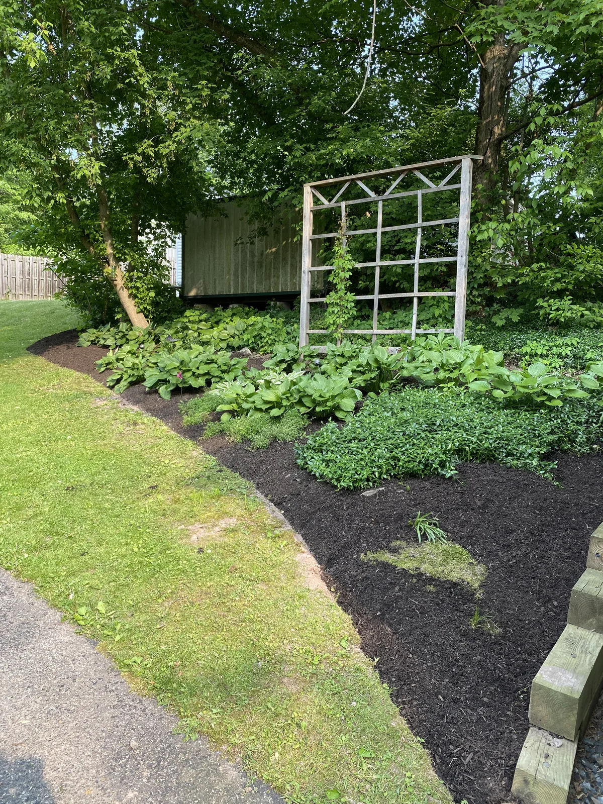 New Jersey Backyard — after