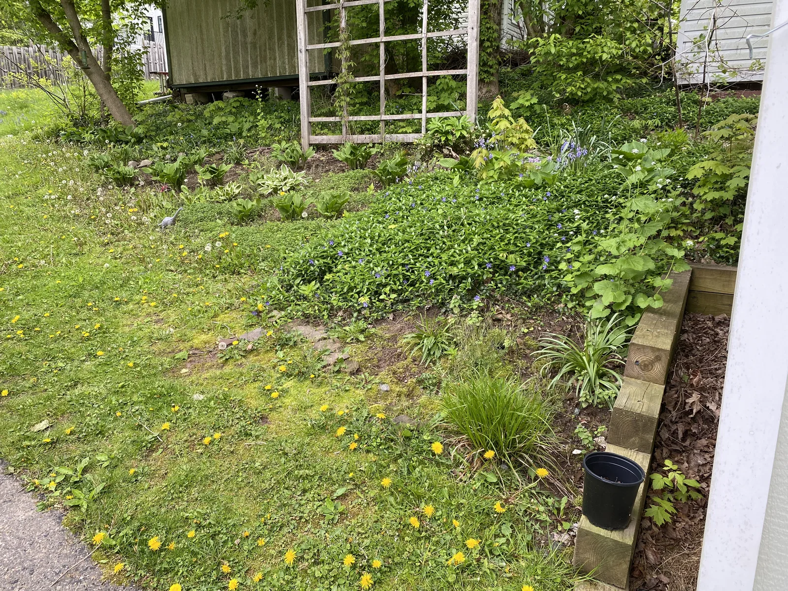 New Jersey Backyard — before