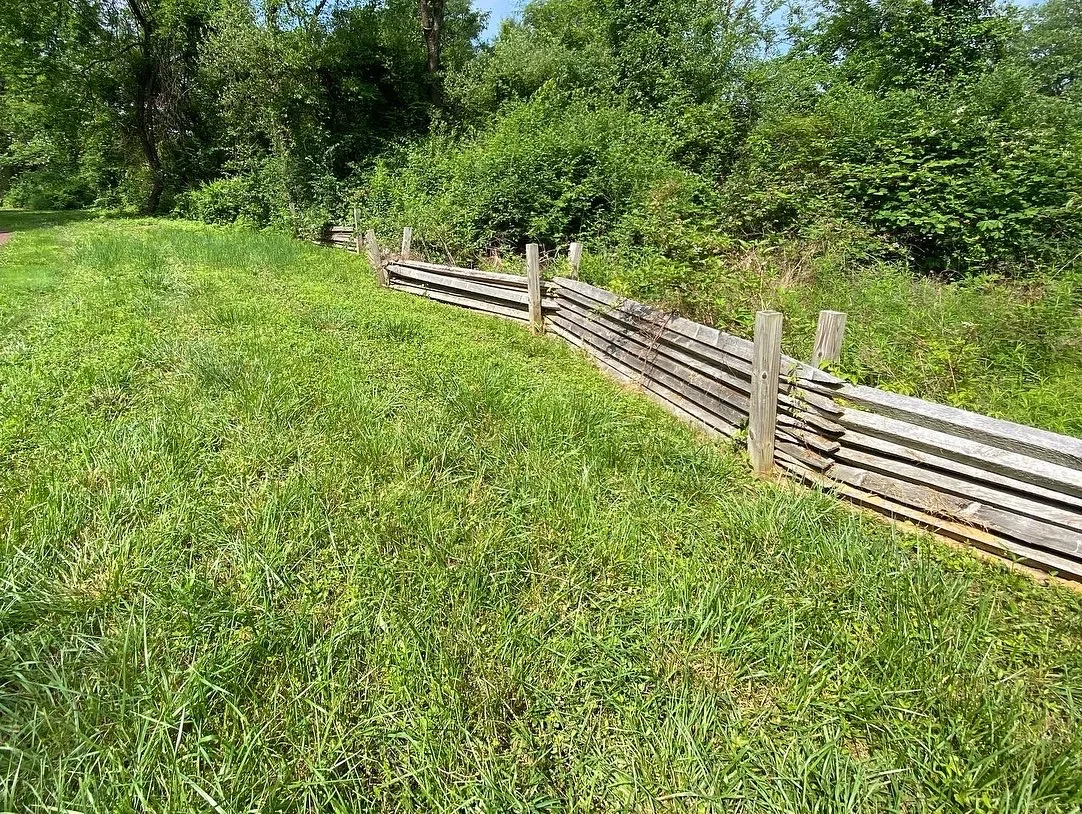 Pocket Meadow — before