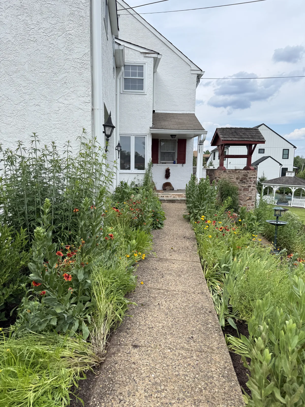 Pollinator Terrace — after